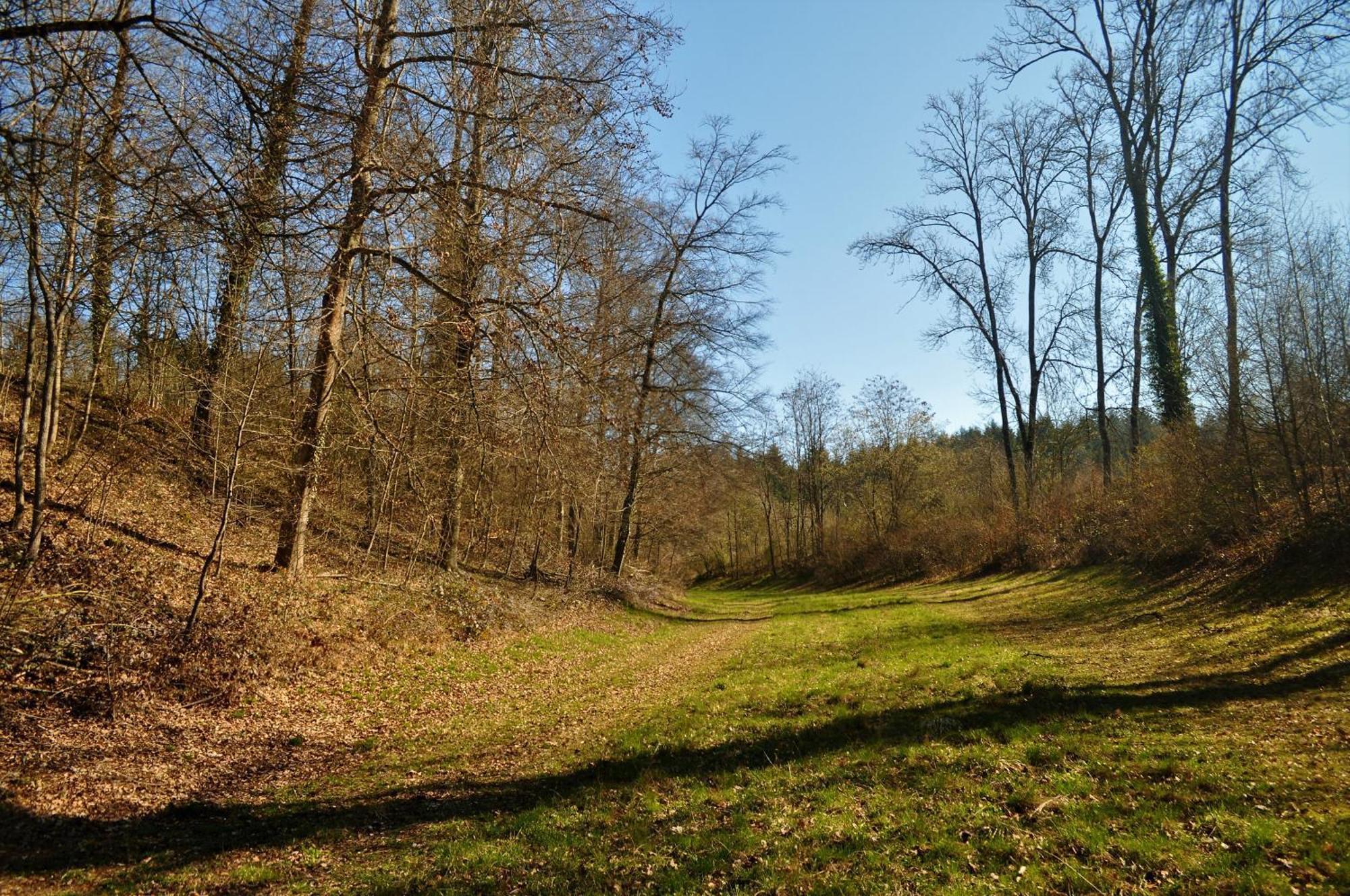 מלון Boncourt Domaine De Mont-Renaud מראה חיצוני תמונה