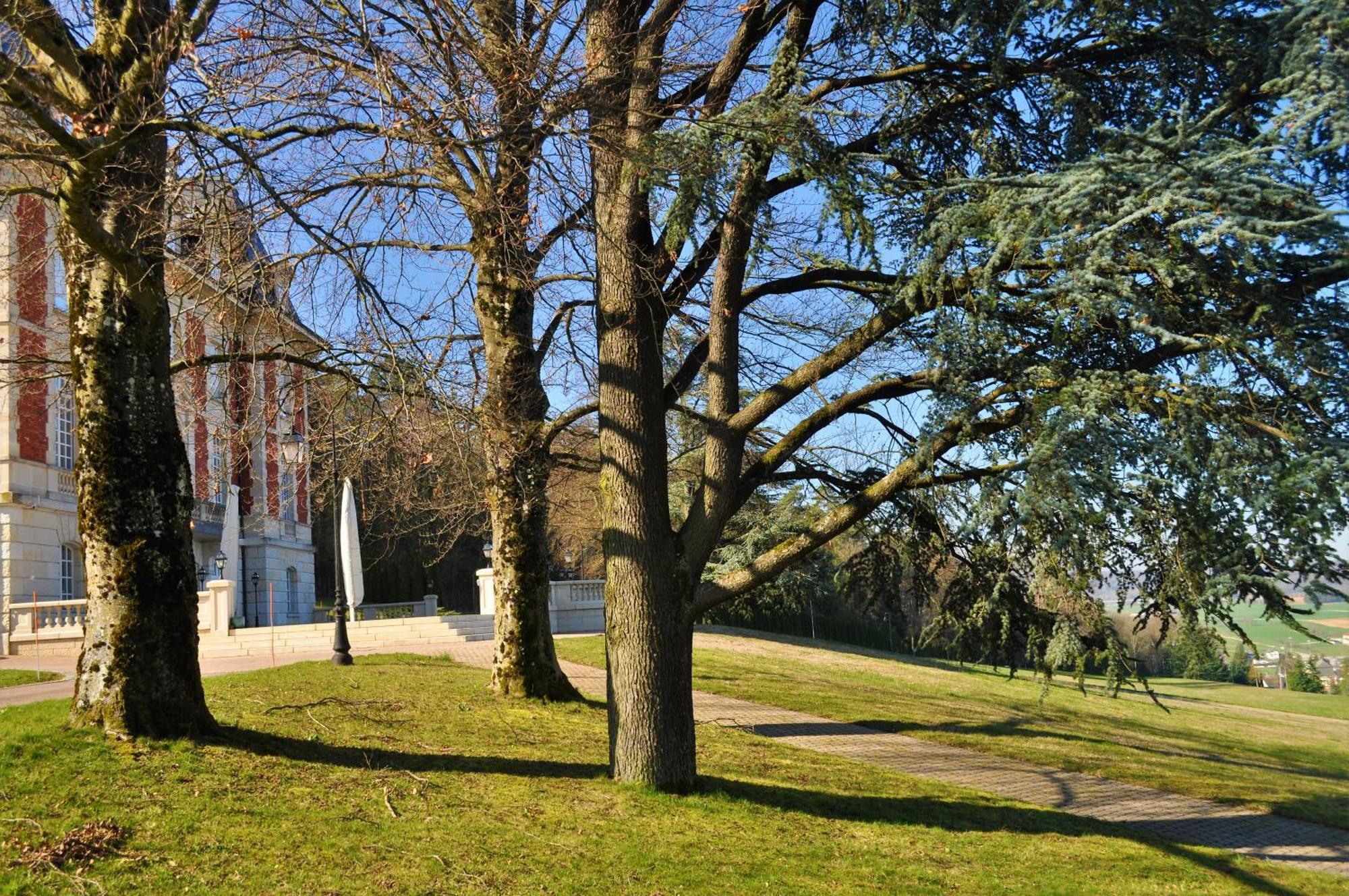 מלון Boncourt Domaine De Mont-Renaud מראה חיצוני תמונה